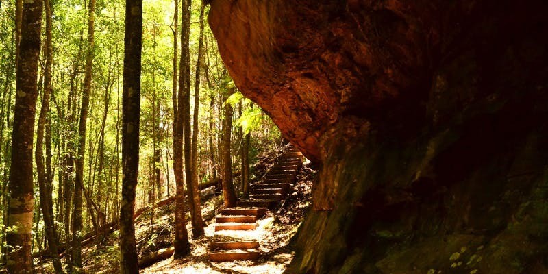 aussiebucketlist.com.au - Cave Creek Walking Track - 1