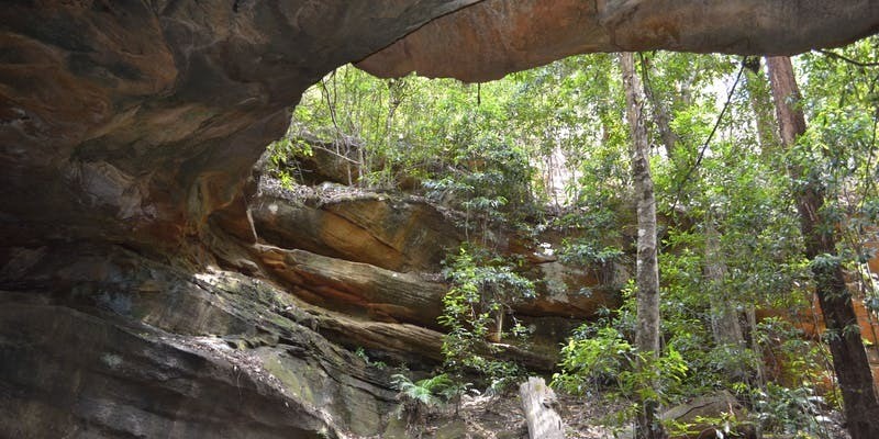 aussiebucketlist.com.au - Cave Creek Walking Track - 3