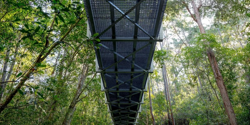 aussiebucketlist.com.au - Pyes Creek Swing Bridge - 3