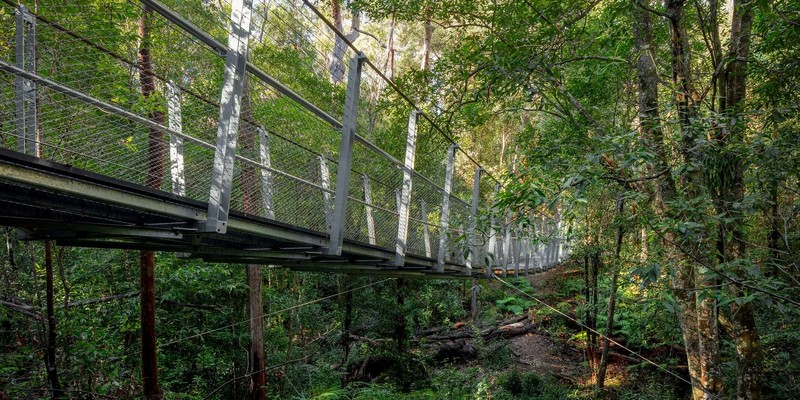 aussiebucketlist.com.au - Pyes Creek Swing Bridge - 4