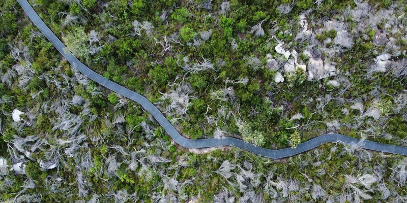 aussiebucketlist.com.au - Dobroyd Head Coastal Walk - 2
