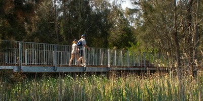 Narrabeen Lagoon Trail