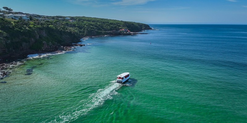 aussiebucketlist.com.au - Merimbula Whale Watching Adventure - 2