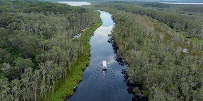 Noosa Habitat Everglades Serenity Tour