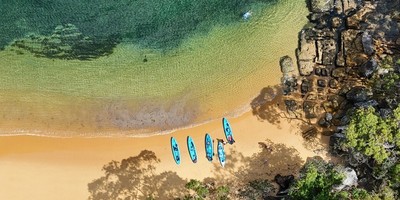 Taster Tour: Guided Manly Kayak Tour