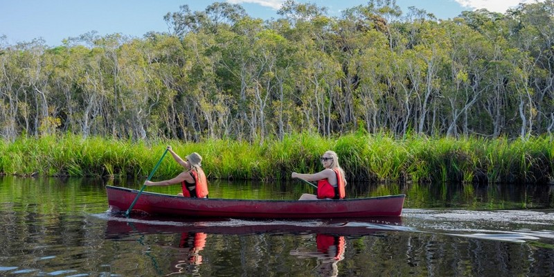 aussiebucketlist.com.au - Noosa Habitat Everglades Explorer Tour - 3