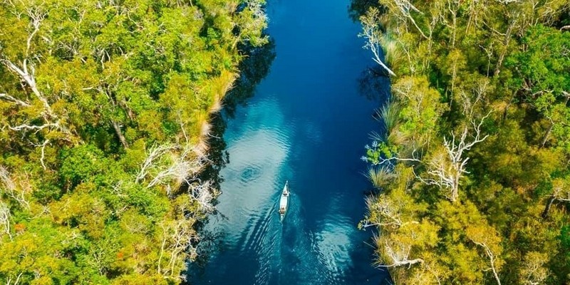 aussiebucketlist.com.au - Noosa Habitat Everglades Explorer Tour - 4