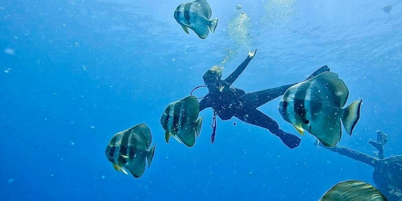 aussiebucketlist.com.au - Ex-HMAS Swan Wreck Double Dive Experience - 5