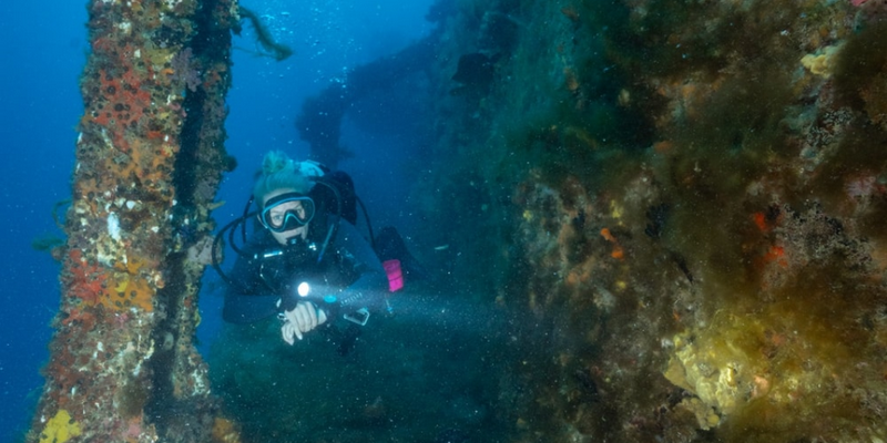 aussiebucketlist.com.au - Ex-HMAS Swan Wreck Double Dive Experience - 8