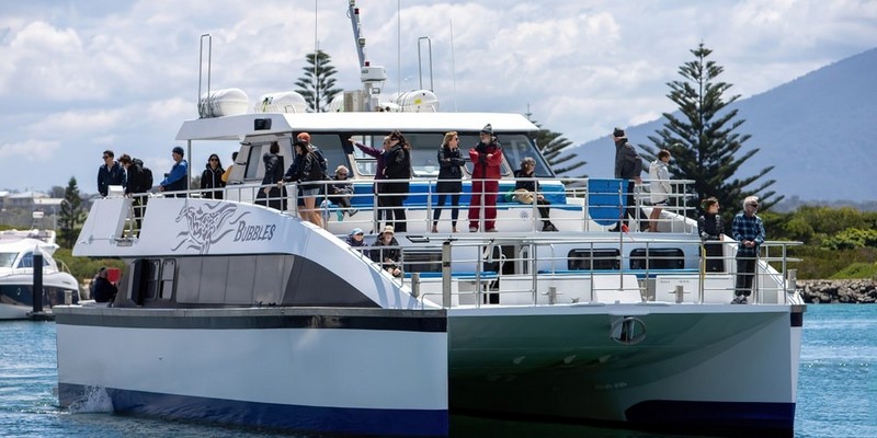 aussiebucketlist.com.au - Sydney Whale Watching Cruise - 3