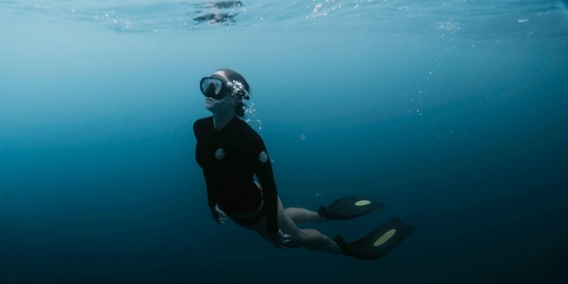 aussiebucketlist.com.au - Sea Turtle Snorkel Tour - 1