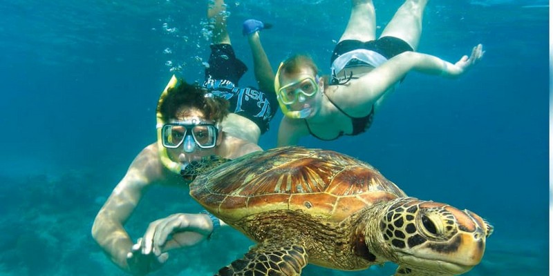 aussiebucketlist.com.au - Green Island & Cairns City Sights Day Tour - 3