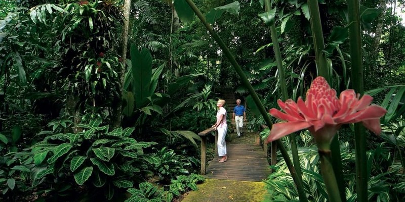 aussiebucketlist.com.au - Green Island & Cairns City Sights Day Tour - 6