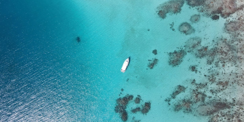 aussiebucketlist.com.au - Outer Great Barrier Reef Snorkelling Tour - 4