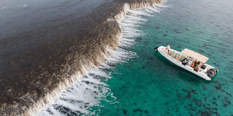 aussiebucketlist.com.au - Waterfall Reef Sea Safari - 1