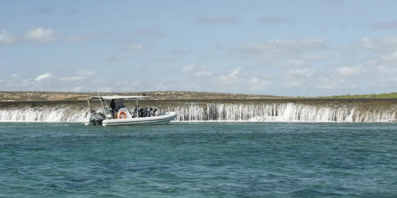 aussiebucketlist.com.au - Waterfall Reef Sea Safari - 5