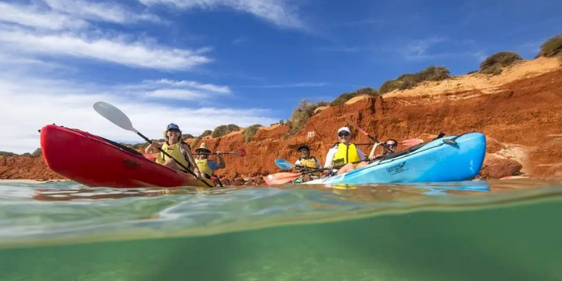 aussiebucketlist.com.au - Kayak and Wildlife Adventure Tour - 1