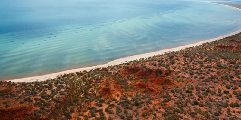 aussiebucketlist.com.au - Kayak and Wildlife Adventure Tour - 2