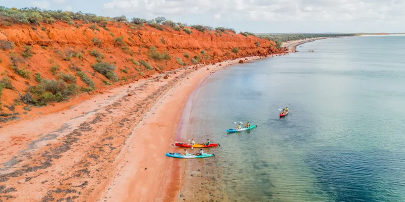aussiebucketlist.com.au - Kayak and Wildlife Adventure Tour - 4