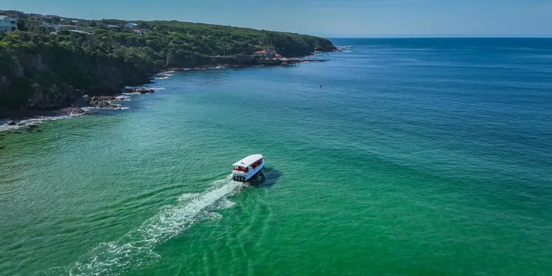 aussiebucketlist.com.au - Merimbula Wildlife Adventure Scenic Cruise - 2