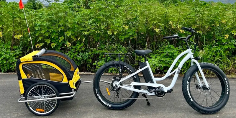 aussiebucketlist.com.au - Northern Rivers Rail Trail Premium Cruiser E Bike Hire - 2