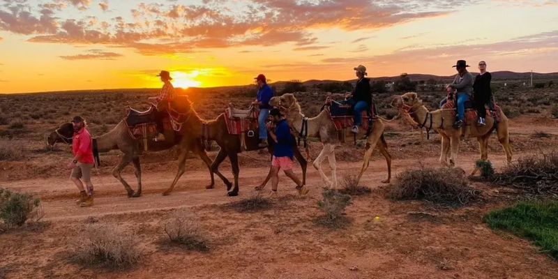aussiebucketlist.com.au - Silverton Sunset Camel Tour - 1