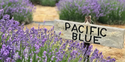 Kangaroo Island Full Day Tasting Tour