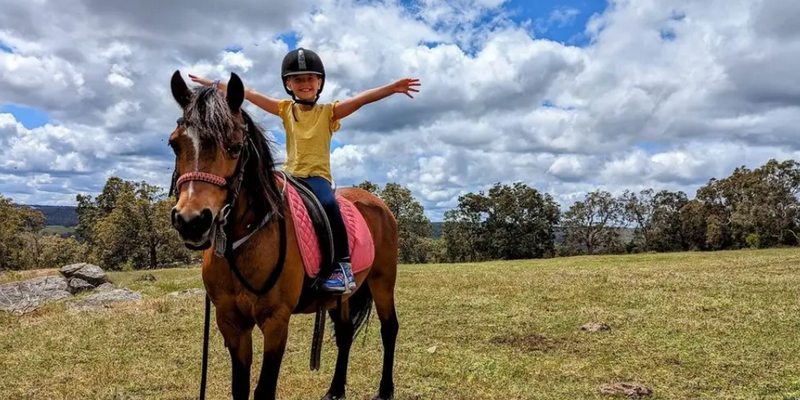 aussiebucketlist.com.au - Private Horse Riding Lesson  - Jarrahdale Equestrian - 4