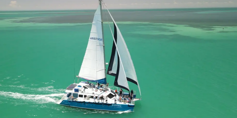 aussiebucketlist.com.au - Monkey Mia Marine Life Cruise - 5