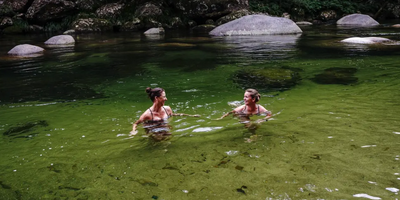 Daintree Discovery Tour - Afternoon Half Day