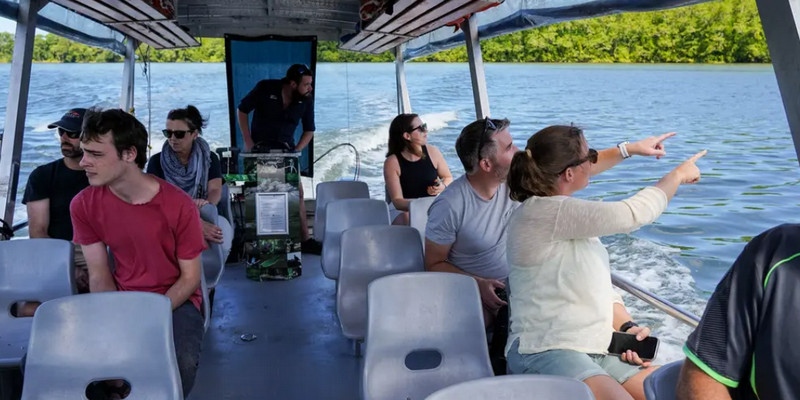 aussiebucketlist.com.au - Daintree Discovery Tour - Afternoon Half Day - 2