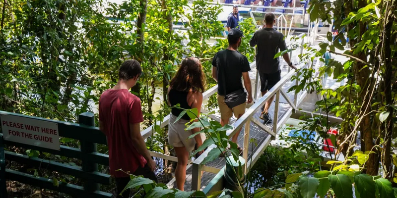 aussiebucketlist.com.au - Daintree Discovery Tour - Afternoon Half Day - 4