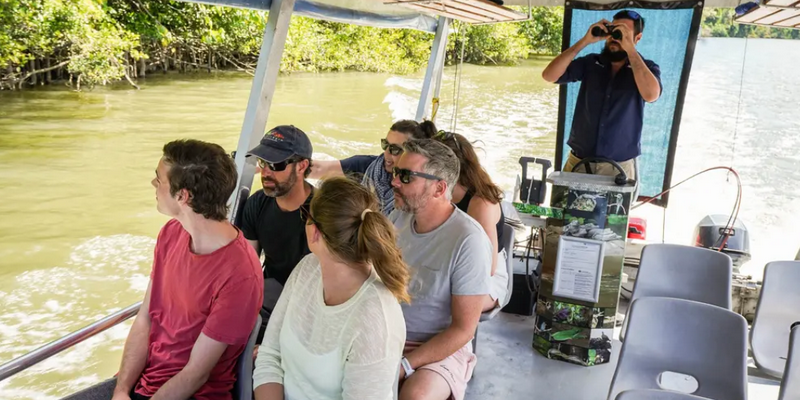 aussiebucketlist.com.au - Daintree Discovery Tour - Afternoon Half Day - 5