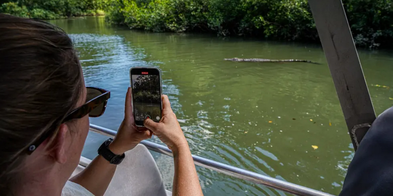 aussiebucketlist.com.au - Daintree Discovery Tour - Afternoon Half Day - 7