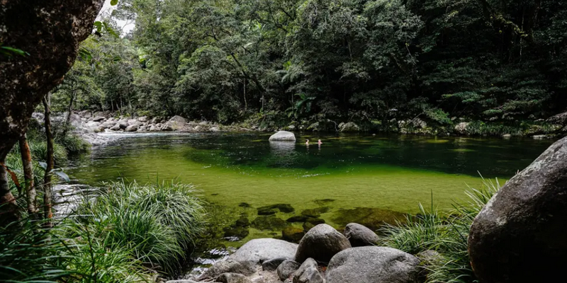aussiebucketlist.com.au - Daintree Discovery Tour - Afternoon Half Day - 10