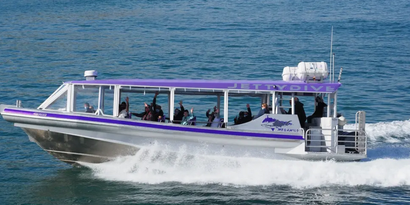 aussiebucketlist.com.au - Coffs Harbour Whale Watching Tour - 2