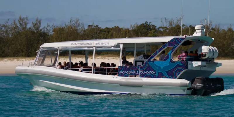 aussiebucketlist.com.au - Great Sandy Straits: Seven Island Ultimate Wildlife Cruise - 2
