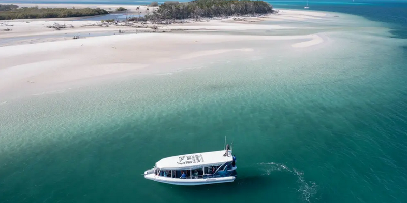 aussiebucketlist.com.au - Great Sandy Straits: Seven Island Ultimate Wildlife Cruise - 3