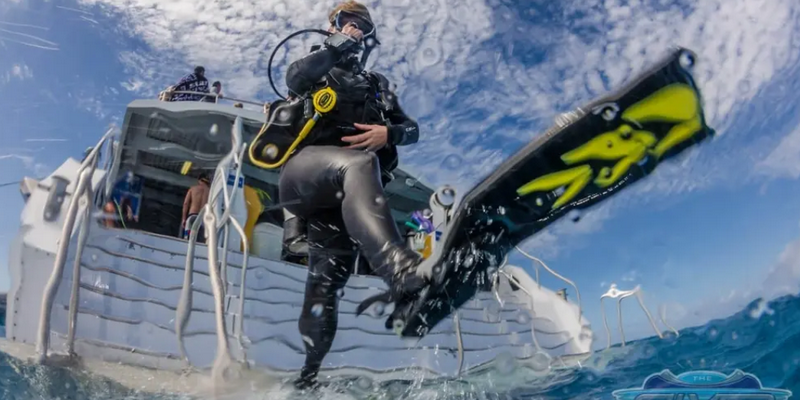 aussiebucketlist.com.au - SilverSonic Dive and Snorkel Day Trip from Port Douglas - 4