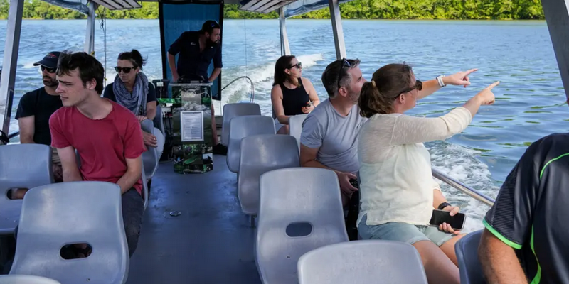 aussiebucketlist.com.au - Daintree Discovery Tour - Morning Half Day - 3