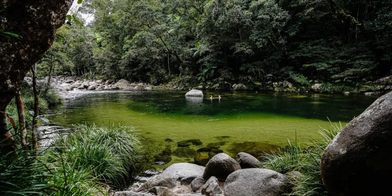 aussiebucketlist.com.au - Daintree Discovery Tour - Morning Half Day - 8