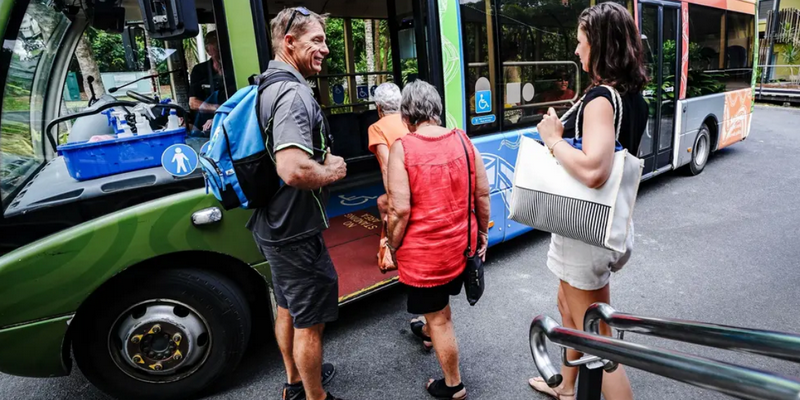 aussiebucketlist.com.au - Daintree Discovery Tour - Morning Half Day - 9