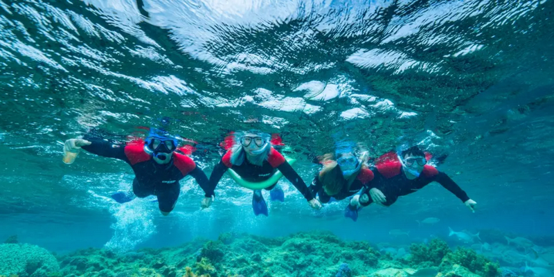 aussiebucketlist.com.au - Busselton Jetty and Underwater Sculptures Snorkelling - 1