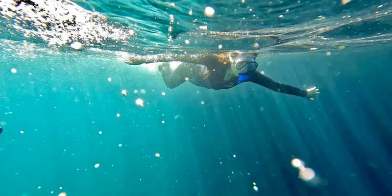 aussiebucketlist.com.au - Busselton Jetty and Underwater Sculptures Snorkelling - 2