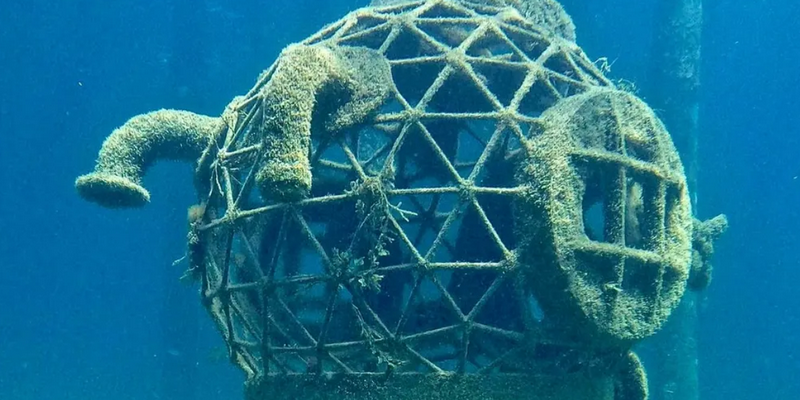 aussiebucketlist.com.au - Busselton Jetty and Underwater Sculptures Snorkelling - 5