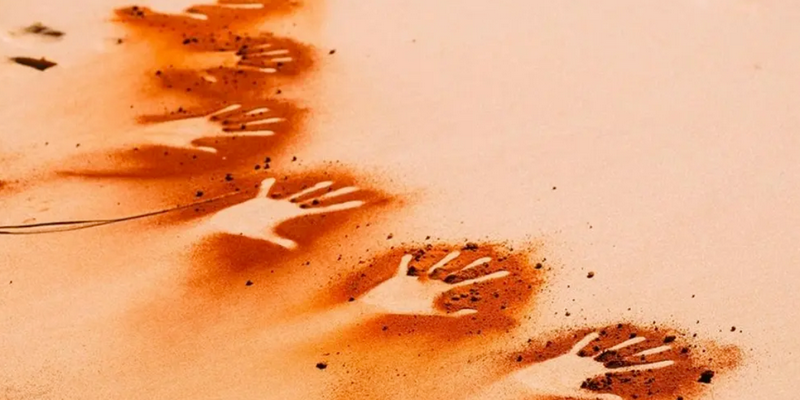 aussiebucketlist.com.au - Francois Peron 4WD Tour - 5