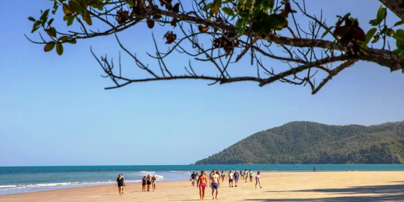 aussiebucketlist.com.au - Cape Tribulation Full Day Tour - 1