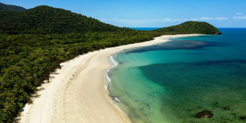 aussiebucketlist.com.au - Cape Tribulation Full Day Tour - 4