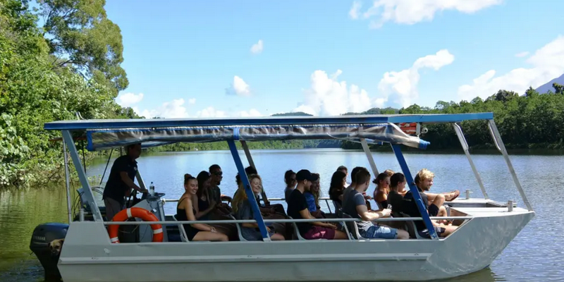 aussiebucketlist.com.au - Cape Tribulation Full Day Tour - 8