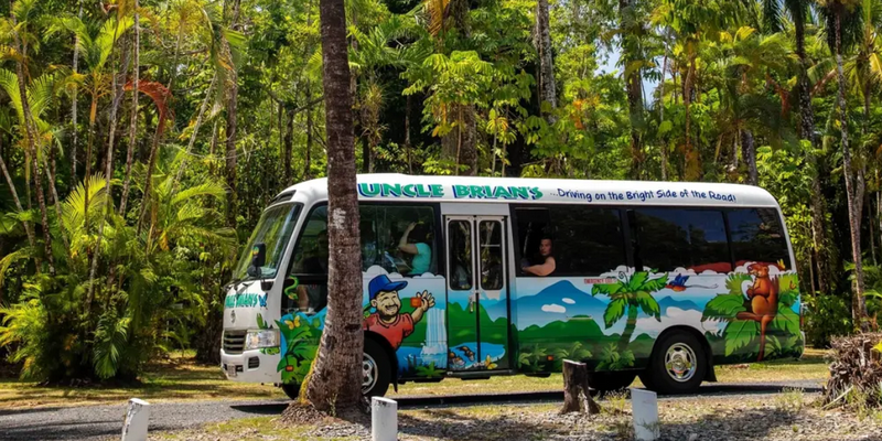 aussiebucketlist.com.au - Cape Tribulation Full Day Tour - 9